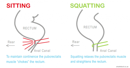 Why squatting is better for your health